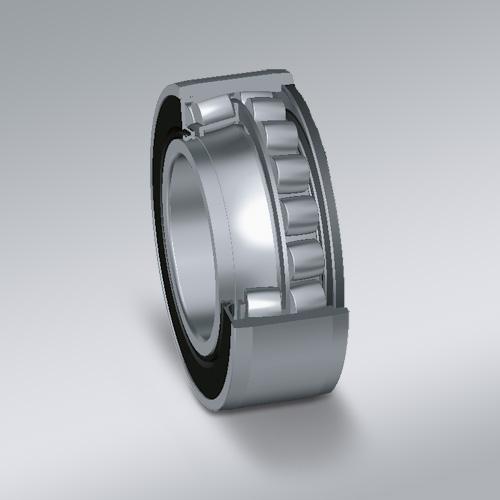 Spherical Roller Bearings